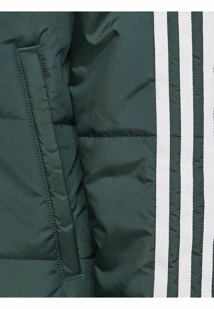 Adidas Originals PADDED UNISEX - Winter Jacket - Green 4 Adidas Originals PADDED UNISEX - Winter Jacket - Green - Image 4