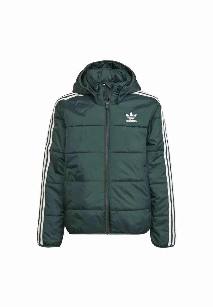 Adidas Originals PADDED UNISEX - Winter Jacket - Green 1 Adidas Originals PADDED UNISEX - Winter Jacket - Green