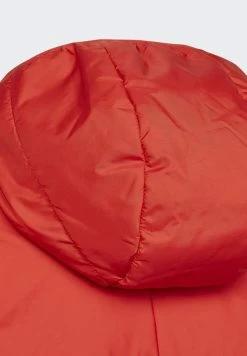 Adidas Originals PADDED UNISEX - Winter Jacket - Red -Adidas Originals Shop 2f5dcc77499341d18ea7d5ed8b6289fb