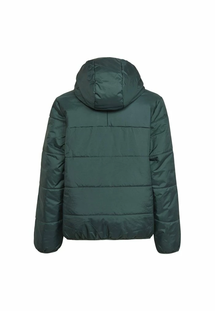 Adidas Originals PADDED UNISEX - Winter Jacket - Green 2 Adidas Originals PADDED UNISEX - Winter Jacket - Green - Image 2