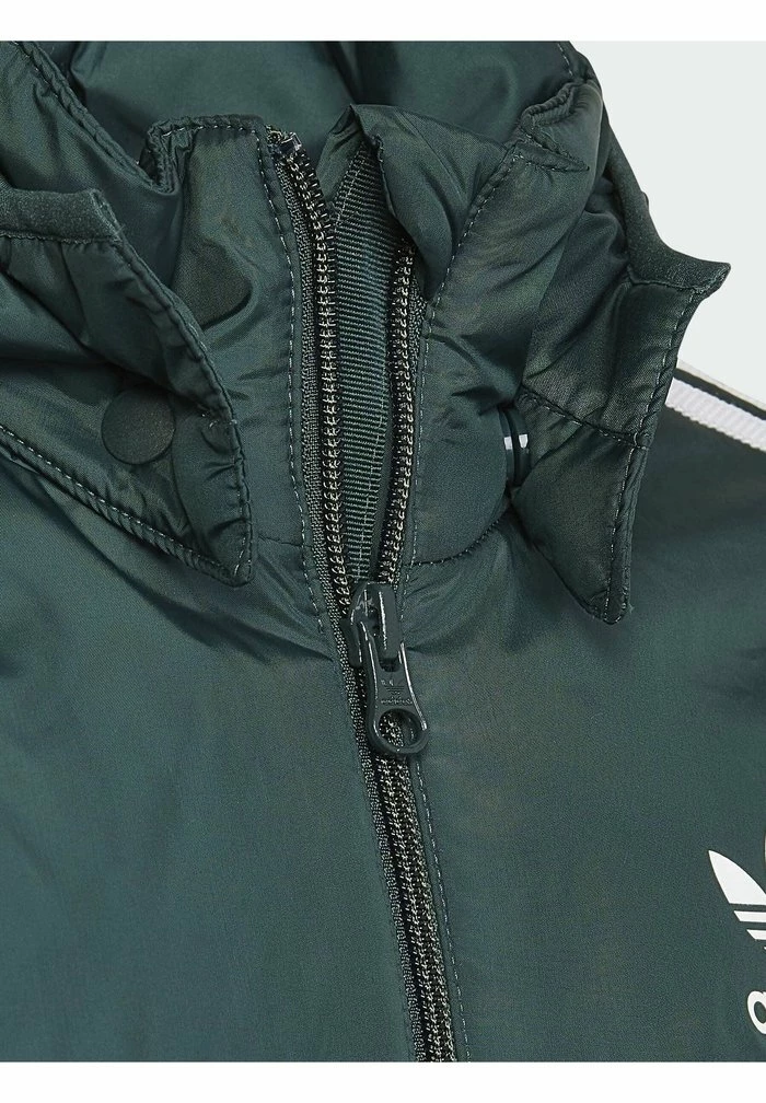 Adidas Originals PADDED UNISEX - Winter Jacket - Green 5 Adidas Originals PADDED UNISEX - Winter Jacket - Green - Image 5