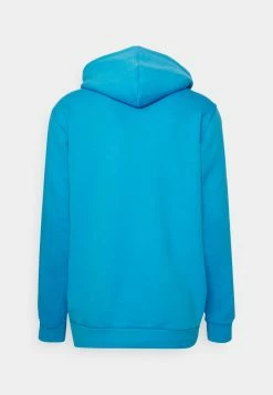 Adidas Originals HOODY UNISEX - Hoodie - App Sky Rush