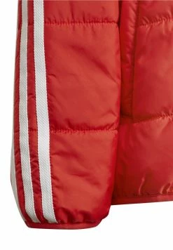 Adidas Originals Winter Jacket - Vivid Red -Adidas Originals Shop 9fd3dc11d3da440f848721563d8f4499