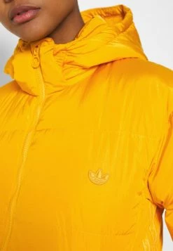 Adidas Originals WINTER REGULAR JACKET - Down Jacket - Active Gold 13 Adidas Originals WINTER REGULAR JACKET - Down Jacket - Active Gold -Adidas Originals Shop d9cf98f79ad6436789f6a67b38350e69