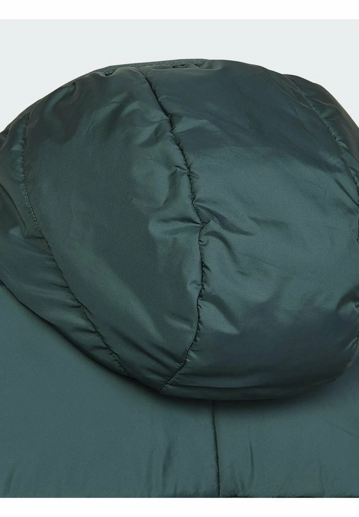 Adidas Originals PADDED UNISEX - Winter Jacket - Green 3 Adidas Originals PADDED UNISEX - Winter Jacket - Green - Image 3